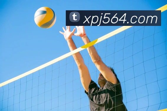 澳门新葡京入口平台生态图