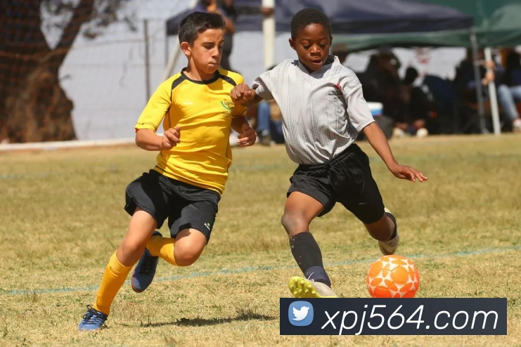 澳门新葡京入口APP 封面图